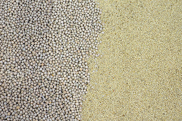 Image showing Grains Seeds