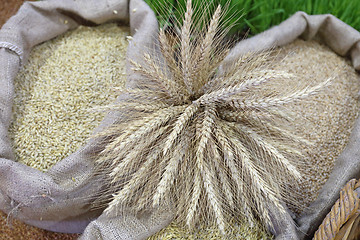 Image showing Grains Wheat