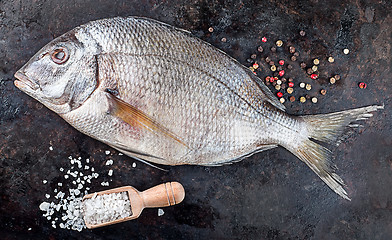 Image showing Dorado fish on black pan