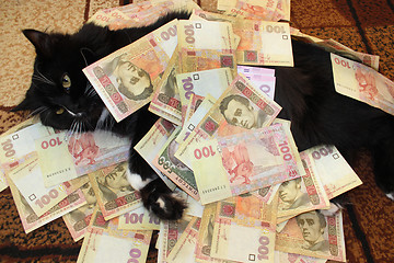 Image showing black cat lying on the carpet with money