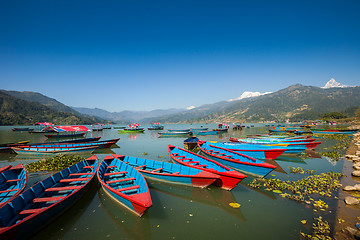 Image showing Boats at Fewa Lake, Pokhara