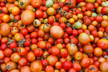 Image showing Cherry tomatoes