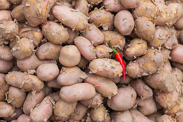 Image showing Potatoes and chili pepper