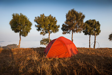 Image showing Tent at dawn