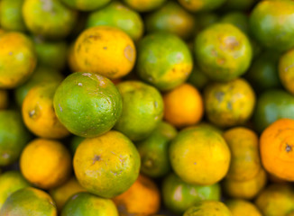 Image showing Green oranges