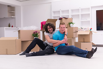 Image showing young  gay couple moving  in new house