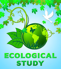 Image showing Ecological Study Shows Eco Learning 3d Illustration