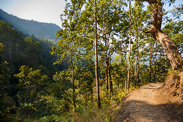 Image showing Path to Siddha Cave 