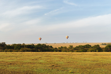 Image showing maasai mara national reserve savanna at africa