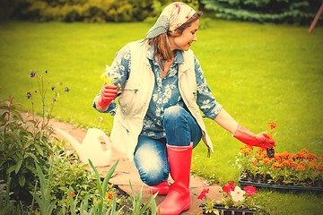 Image showing Beautiful smiling middle-aged woman in kerchief planting flowers