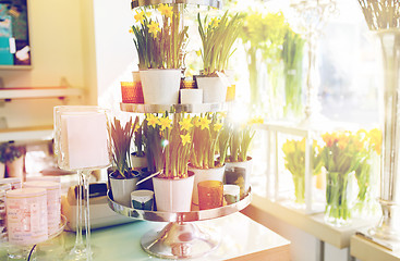 Image showing narcissus flowers on stand at flower shop