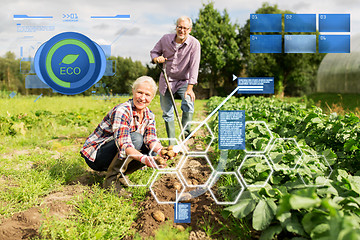 Image showing senior couple planting potatoes at garden or farm