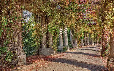 Image showing Pergola walkway in park