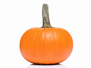 Image showing Fresh pumpkin for Halloween