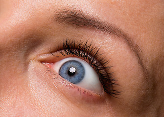 Image showing Face woman with eyes and eyelashes