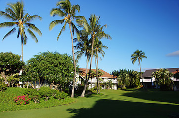 Image showing Hawaii, United States of America