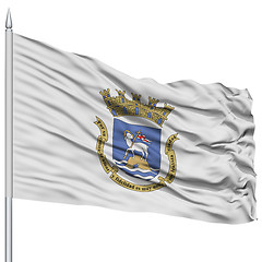 Image showing San Juan Flag on Flagpole, Waving on White Background