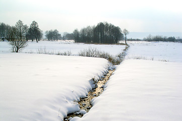 Image showing winter - field