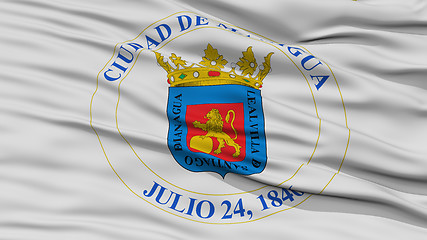 Image showing Closeup Managua City Flag, Nicaragua