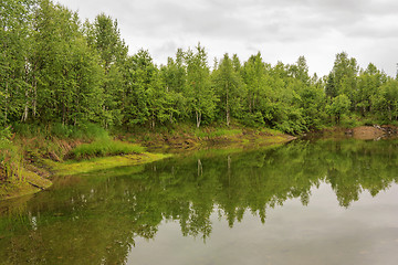 Image showing Spilling river in a green forest natural background