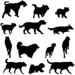 Image showing Set silhouette black dog on a white background