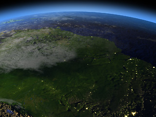 Image showing Amazon rainforest at night