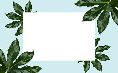 Image showing white blank space and green leaves over blue