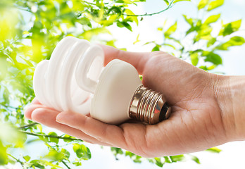 Image showing close up of hand holding energy saving lightbulb