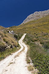 Image showing Hilly landscape, Sicily, Italy