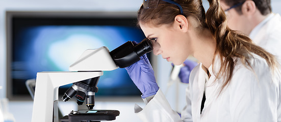 Image showing Life scientist researching in the laboratory.