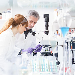 Image showing Health care researchers working in scientific laboratory.