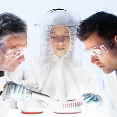 Image showing Health care researchers working in scientific laboratory.