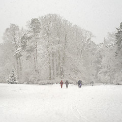 Image showing Heavy snowfall in a park