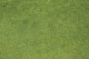 Image showing Putting green