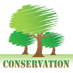 Image showing Conservation Trees Indicates Go Green And Eco