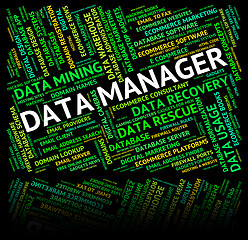 Image showing Data Manager Shows Executive Bytes And Fact