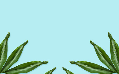 Image showing green leaves on blue background