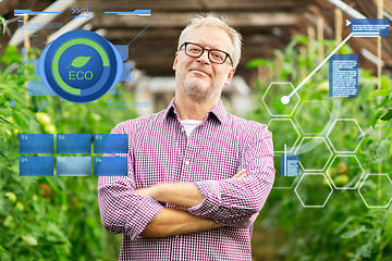 Image showing happy senior man at farm greenhouse