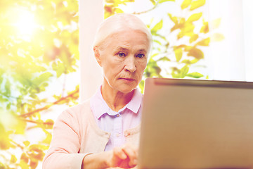 Image showing senior woman with laptop at home