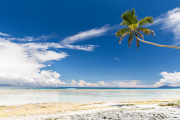 Image showing island beach in indian ocean on seychelles