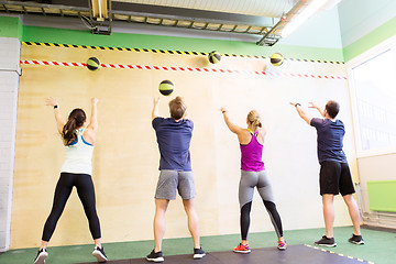 Image showing group of people with medicine ball training in gym