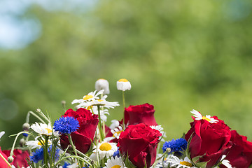 Image showing Colorful summer flowers 