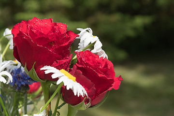 Image showing Red roses as a part of a summer flowers bouquet