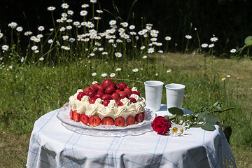 Image showing Summer cake with strawberries in a garden