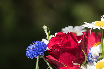 Image showing Red rose in a flower boquet