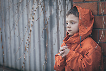 Image showing Portrait of sad little boy