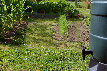 Image showing Green water butt with black tap in an allotment garden