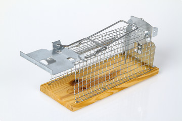 Image showing Mouse Trap