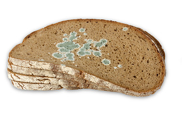 Image showing Slices of moldy Bread