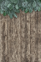 Image showing Blue Spruce Fir On Old Wood Background